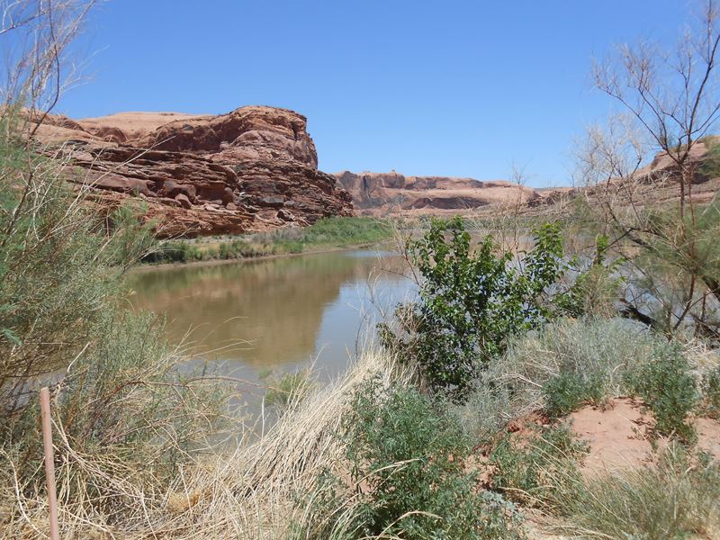 Moab (UT)